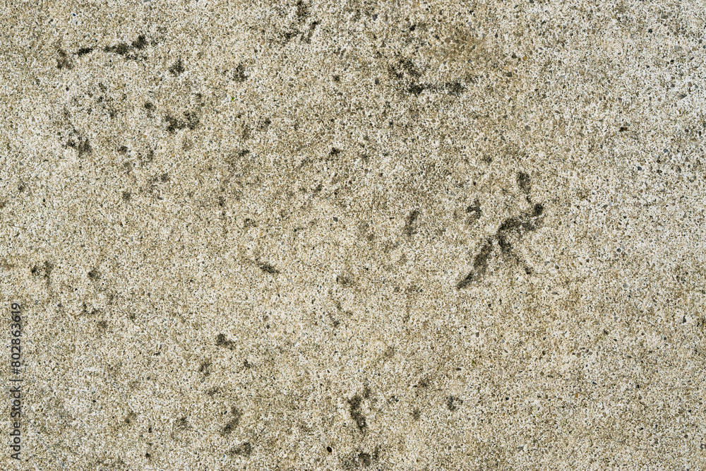 Beige stone surface photographed from above Beige stone surface photographed from above