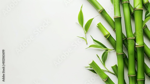 Bamboo shoots on white background with copy space, top view © trimiati