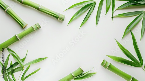 Bamboo shoots on white background with copy space, top view © trimiati