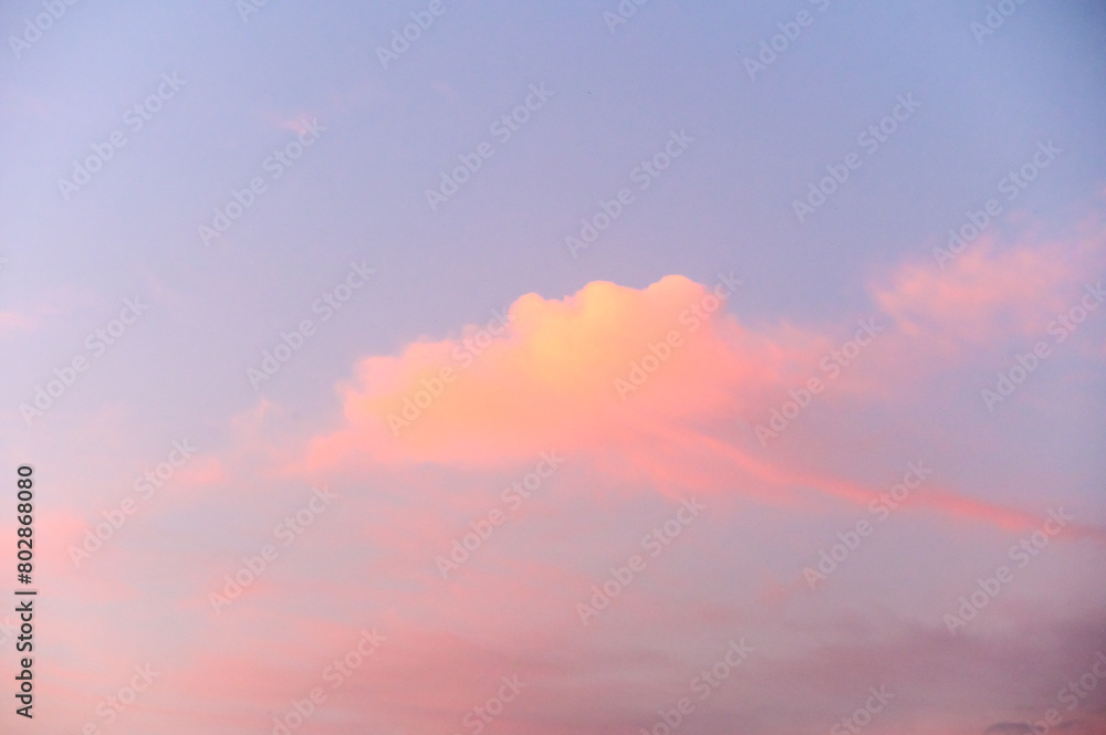 Obraz premium Light pink clouds in sunset blue sky.