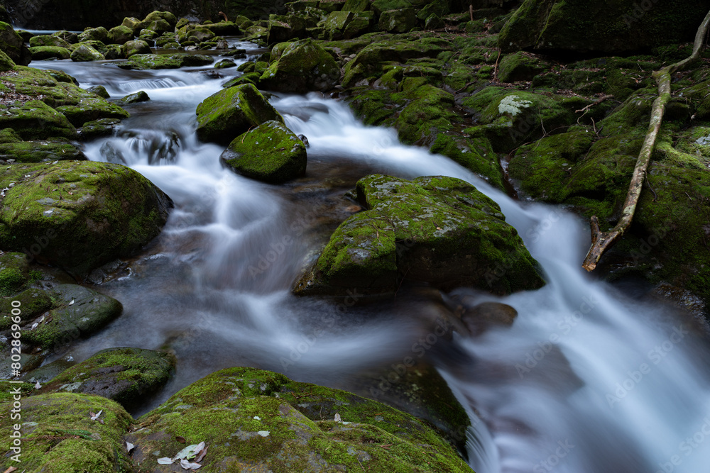 美しい川の流れ