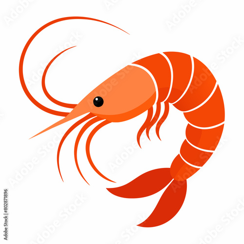 Shrimp vector clipart art illustration, solid white background (7)