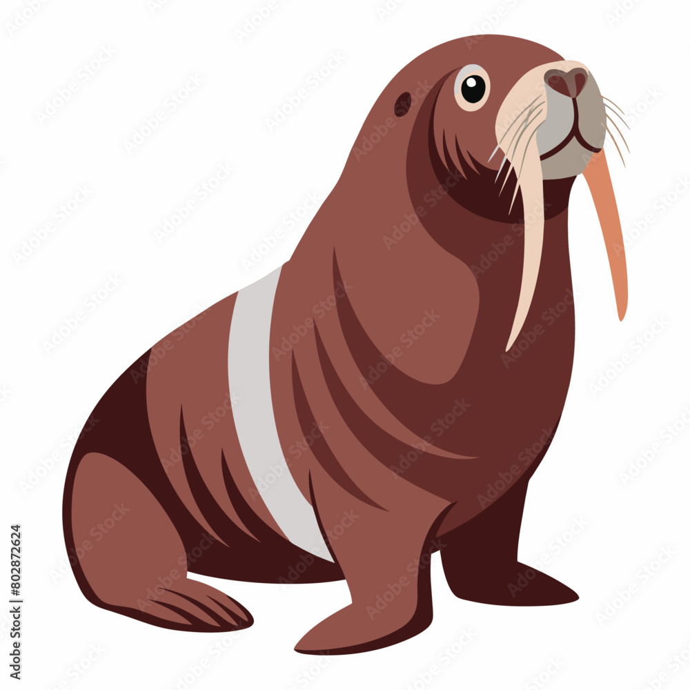 Walrus vector art illustration, solid white background (16) Walrus vector art illustration, solid white background (16)