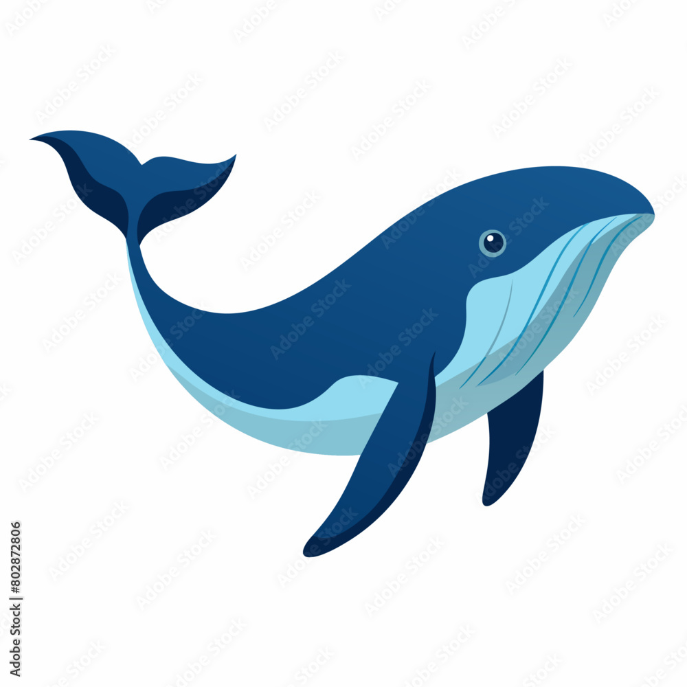 Fototapeta premium Whale vector clipart art illustration (10)