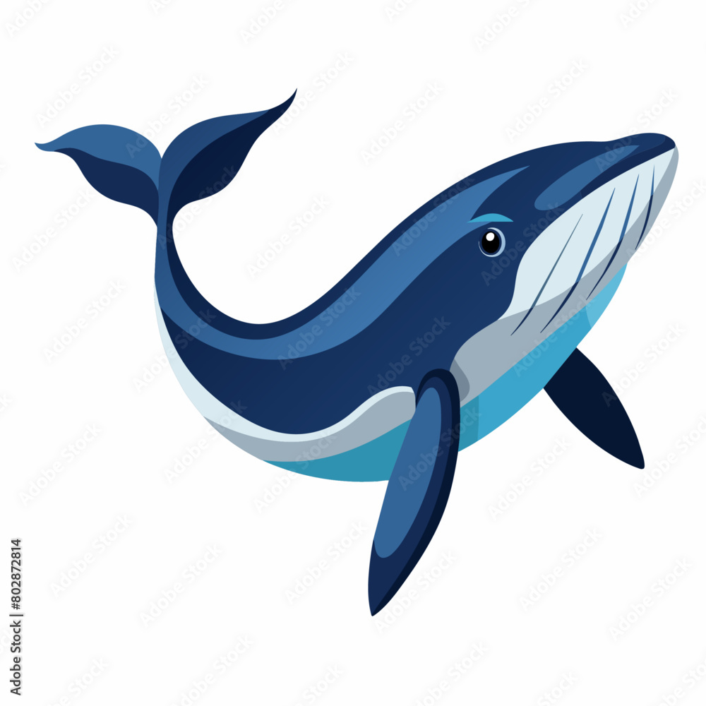 Whale vector clipart art illustration (12) Whale vector clipart art illustration (12)