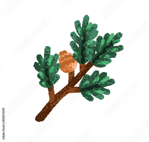 Fir tree branch with cone. Green spruce twig. Christmas winter design element. Coniferous pine plant stalk with pinecone, evergreen needles. Flat vector illustration isolated on white background photo