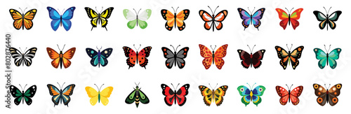 Collection of Colorful Butterfly Icons, flat vector cartoon illustration. Various types of butterflies - blue morpho, swallowtail, peacock pansy, admiral, painted lady, cabbage white, glasswing.