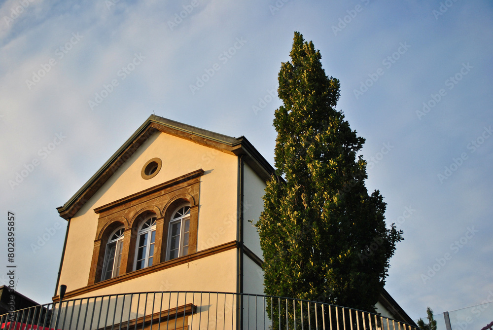 Italian Building and Pine seen from below on Sunny Day