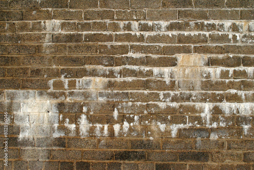 Close Up of Old Brick Wall with White Efflorescence 