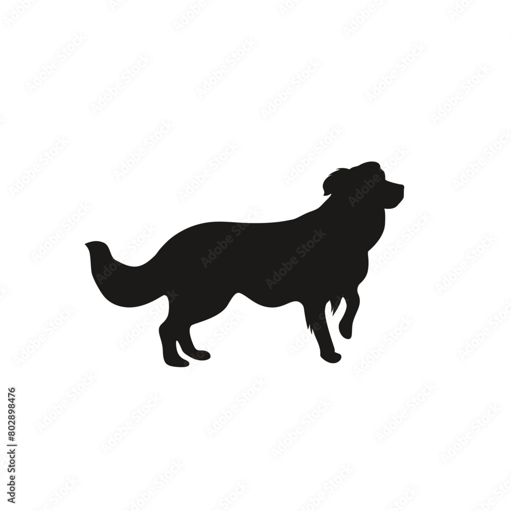 Silhouette of a dog in vector, flat style.
