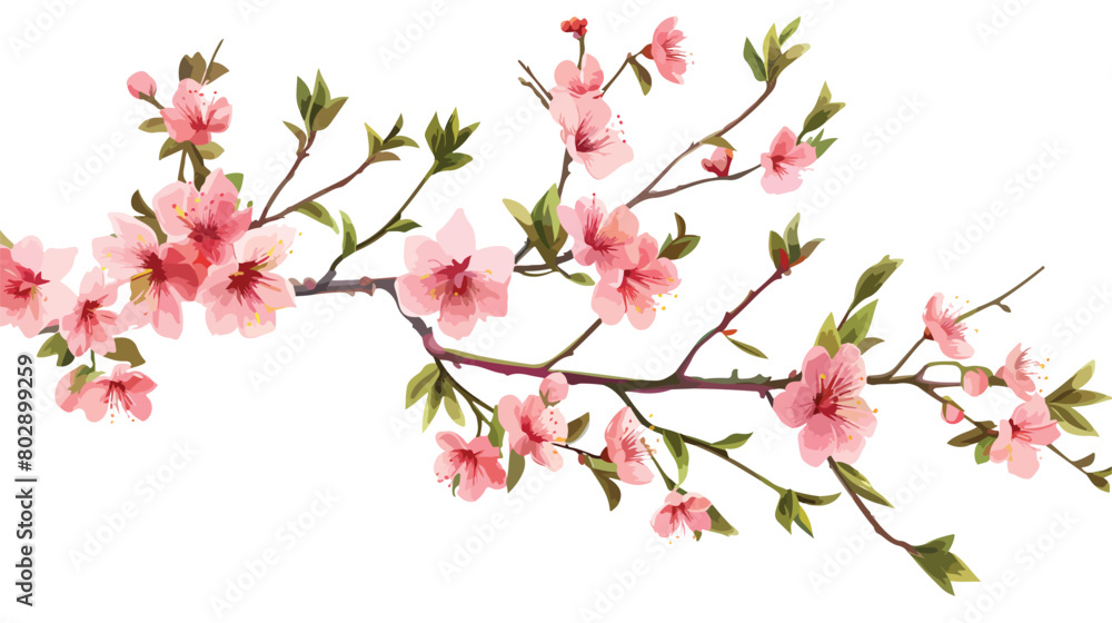 Beautiful blossoming branch on white background Vector
