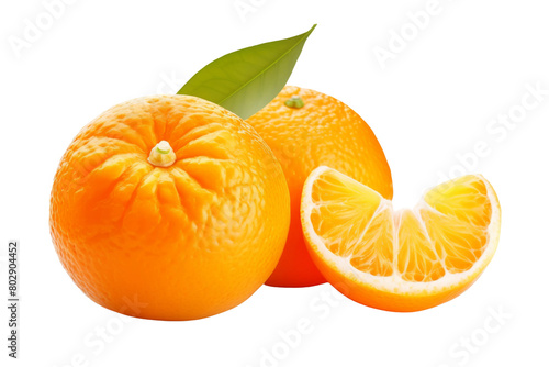 The Citrus Companions. On a White or Clear Surface PNG Transparent Background.