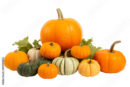 The Pumpkin Patch Gathering. On a White or Clear Surface PNG Transparent Background. photo