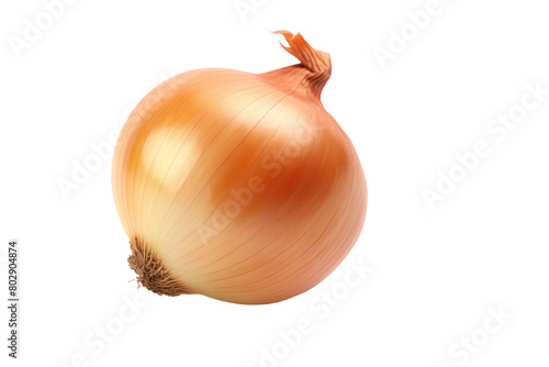 Whispers of Nature: A Captivating Close-Up of an Onion on a Blank Canvas. On a White or Clear Surface PNG Transparent Background.