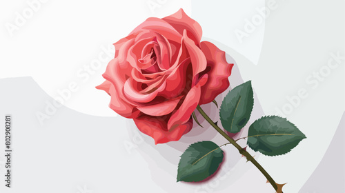 Beautiful rose flower on white background Vector style