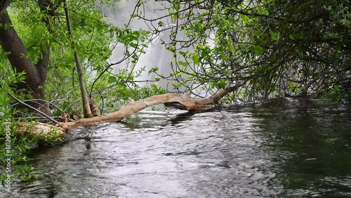 Kravica Waterfall, the amazing waterfall on Trebizat River in Bosnia and Herzegovina.