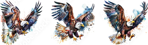 Watercolor Eagle Clipart: White Isolated Background © VectorStock