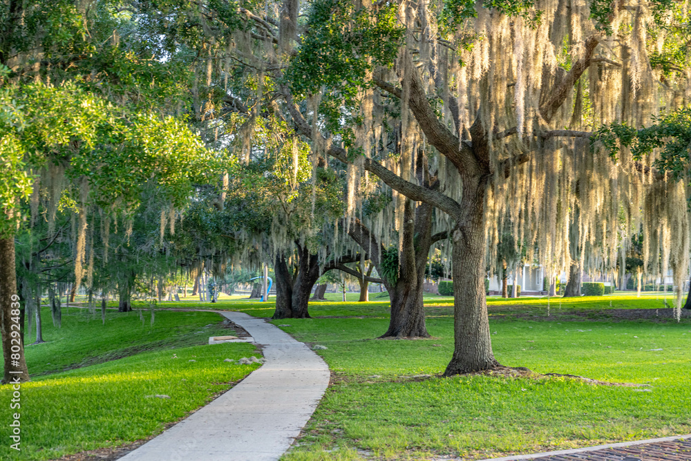 Fototapeta premium Ocala, Florida