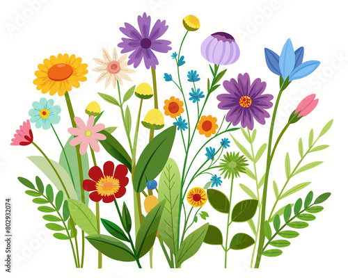 a bunch of different types of flowers and leaves on a white background