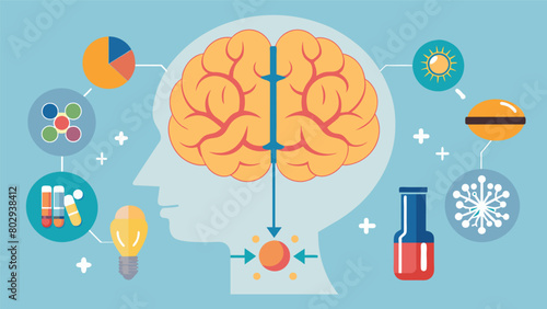 The use of ketamine as a potential treatment for PTSD has been linked to changes in brain connectivity and neuroplasticity suggesting a reorganization.