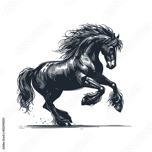 The wild black horse. Black white vector illustration. 