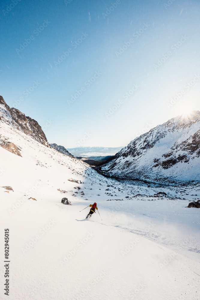 Mountaineer backcountry ski walking ski alpinist in the mountains. Ski touring in alpine landscape with snowy trees. Adventure winter sport. High tatras, Slovakia