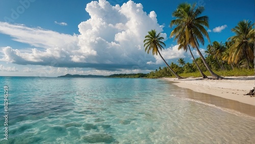 Beautiful palm tree on tropical island beach on background blue sky with white clouds and turquoise ocean on sunny day  Perfect natural landscape for summer vacation  ultra wide format