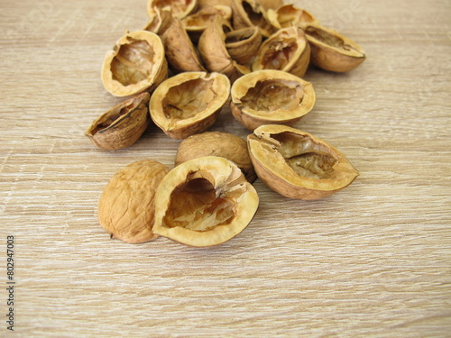 Craft material for crafting: halved walnut shells