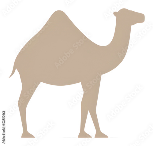 PNG  Camel animal mammal white background.