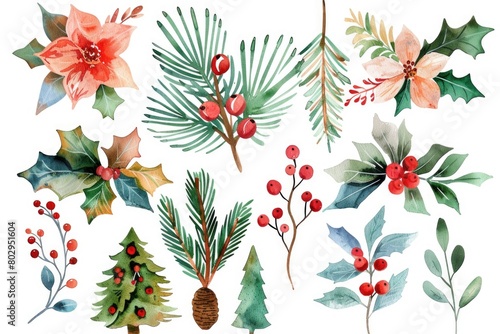 A beautiful collection of watercolor Christmas plants and trees. Perfect for holiday designs