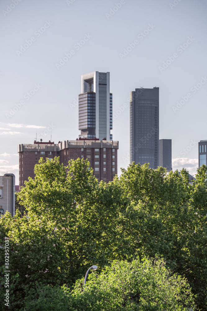 Fototapeta premium Madrid cityscape with office buildings of different heights with glass facades and leafy tree canopies