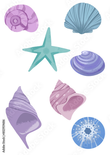 Set of seashells and starfish illustrations on a transparent background