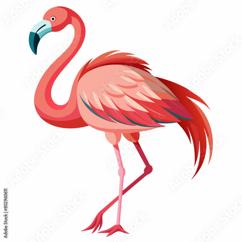 flamingo Bird Vector art illustration flat style  3 