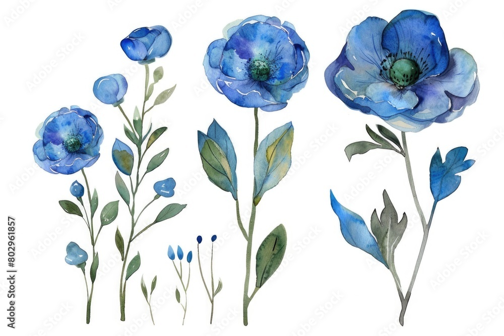 A painting of blue flowers on a white background. Suitable for various design projects A painting of blue flowers on a white background. Suitable for various design projects