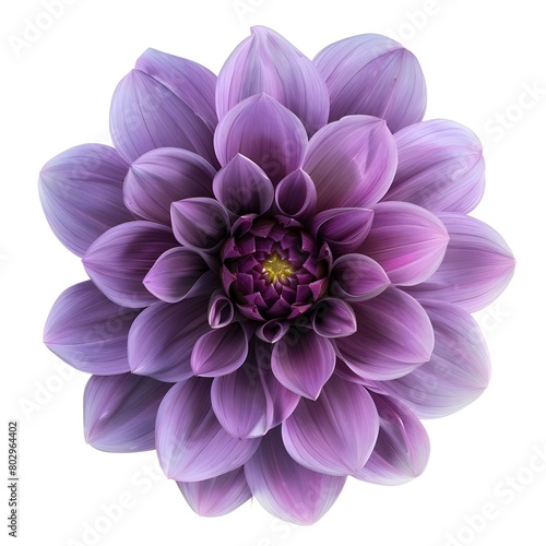 pink dahlia isolated on white background Generative AI