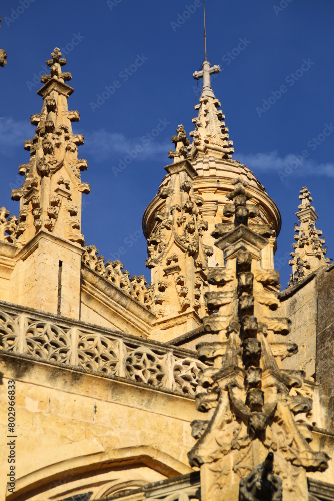 catedral de Segovia