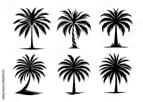 Set of six palm tree silhouettes showcasing diverse shapes  presented in bold black on a stark white background  ideal for versatile design use. Vector illustration.