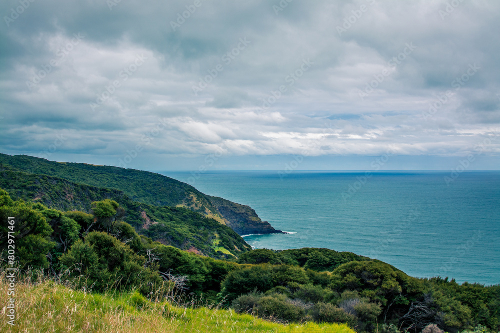 Panoramic view over high coast of Tasman Sea on an overcast summer day. High vantage point. Raglan, New Zealand