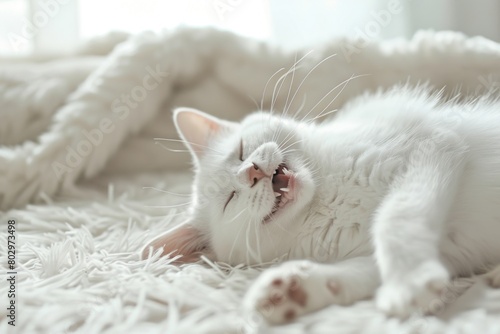 White cat sleeping on fur mat © Chitchanok