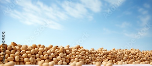 A copy space image of nutri...