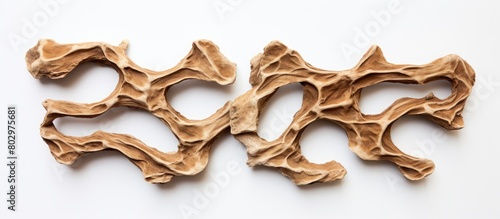 A bone shaped dry dog food ...