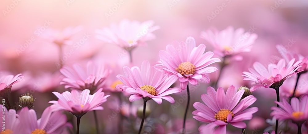 A close up image of pink tsertsis flowers with a blurred background creates a beautiful copy space image