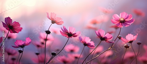 A close up image of pink tsertsis flowers with a blurred background creates a beautiful copy space image photo