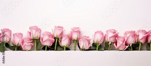 A copy space image of pink ...