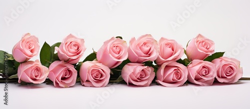 A copy space image of pink ...