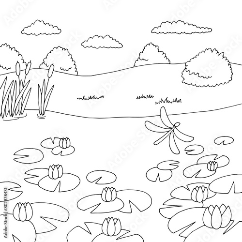 Lotus lake graphic black white landscape sketch illustration vector 