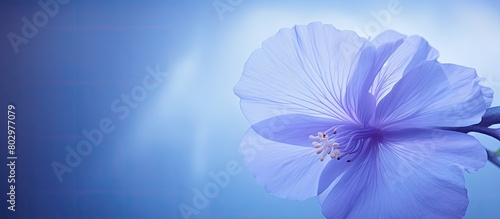 A close up image of the blu...