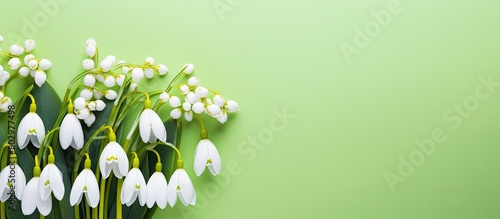 A beautiful copy space image featuring white snowdrop flowers on a colorful background arranged in a creative layout that represents the minimal concept of spring photo