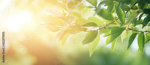 A blurred background of gre...