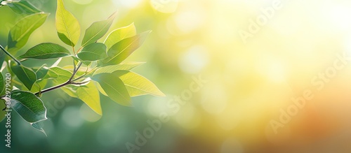 A blurred background of gre...